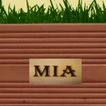 elpradobox-Seitenteil mit Branding. Name MIA